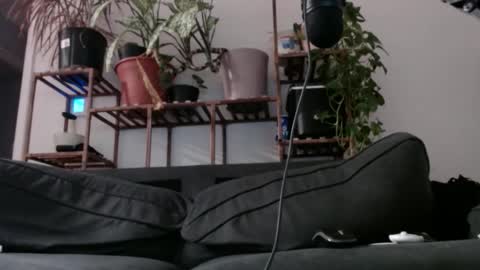 Rick online show from 12.11.24