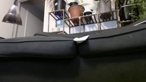 Rick online show from 12.23.24