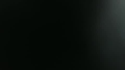 ANNIE online show from 01.14.26