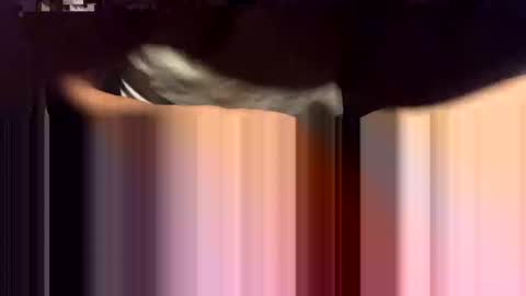 lalo112233vaz online show from 11.16.25