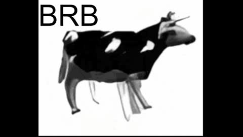 just call me Lana  and her security online show from 01.17.25