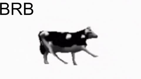 just call me Lana  and her security online show from 01.22.25