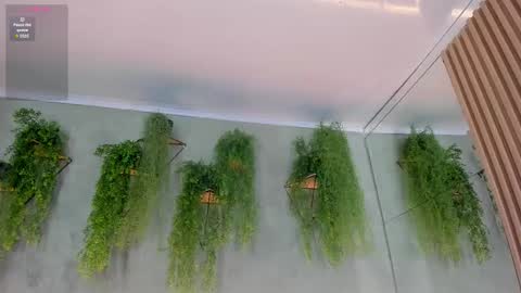 lana_lann online show from 11.10.25