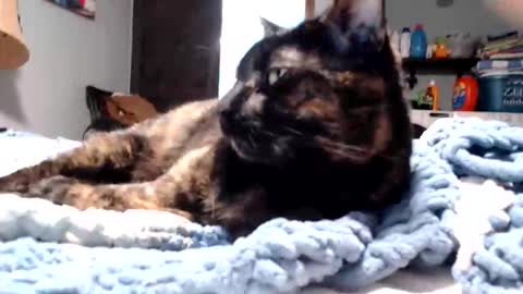 Lance online show from 03.11.26