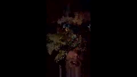 Snapshot of langederek2 chatting on 05.18.26 langederek2 online show from 05.18.26