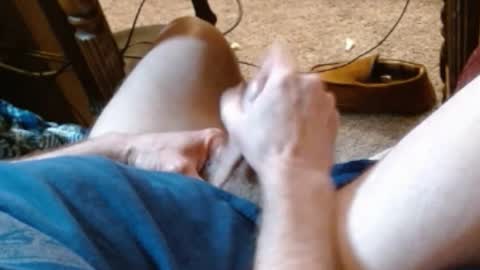 laststeven online show from 02.27.25