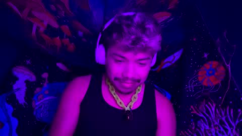 Pup online show from 12.27.24