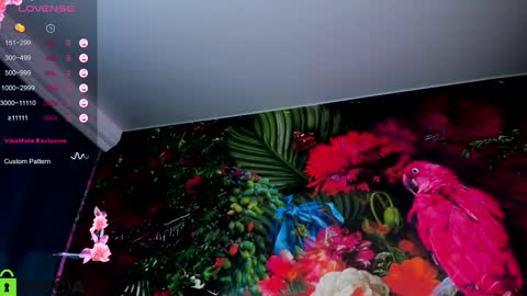 Snapshot of laura_pudd chatting on 02.26.25 Laura online show from 02.26.25