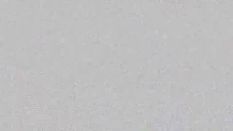 Layana online show from 02.19.26