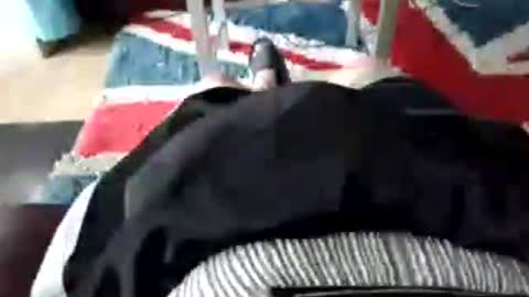 Snapshot of leatherpants68 chatting on 07.17.26 leatherpants68 online show from 07.17.26