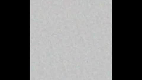 leejhonsonnn online show from 11.13.25