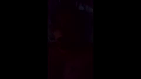 leemo2021 online show from 05.20.26
