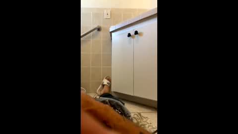 legal4 online show from 03.09.26