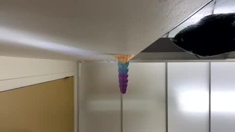 LeGrandAnneau online show from 01.29.25