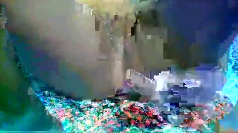 Snapshot of leilah_hope chatting on 02.16.26 leilah_hope online show from 02.16.26