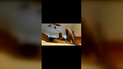 lelesmayone online show from 05.25.26