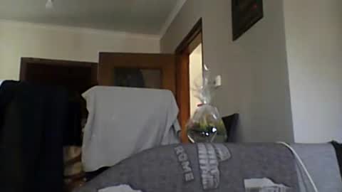 Snapshot of lelshop chatting on 12.08.24 lelshop online show from 12.08.24