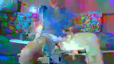 SEX  MASTER online show from 01.15.26