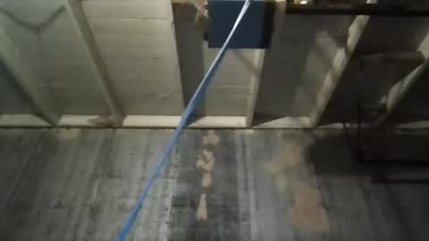 leo199984 online show from 11.09.25