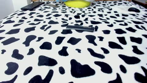 Leo online show from 01.27.25