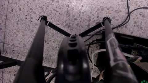 Leo  online show from 11.11.25