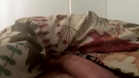 Snapshot of letsgohome2222 chatting on 10.11.25 letsgohome2222 online show from 10.11.25