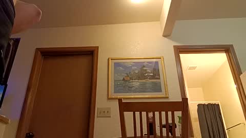 Snapshot of letsplay361 chatting on 03.08.25 letsplay361 online show from 03.08.25