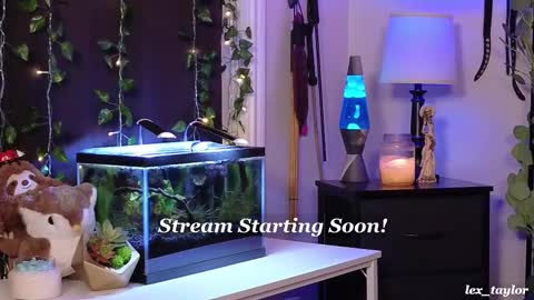 Snapshot of lex_taylor chatting on 02.17.25 Lex online show from 02.17.25