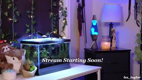 Snapshot of lex_taylor chatting on 02.18.25 Lex online show from 02.18.25