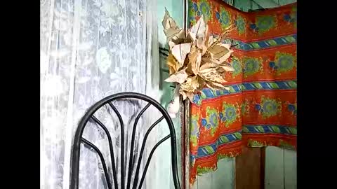 Lia online show from 10.30.25