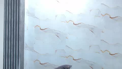 liaa_cams online show from 06.06.26