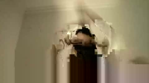 LPBT online show from 09.15.25