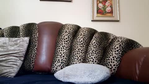 Celine online show from 12.19.24