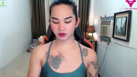 LILY online show from 11.12.25