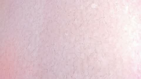 L I L A   online show from 02.04.25