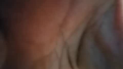 Lilcockinhand online show from 01.02.25