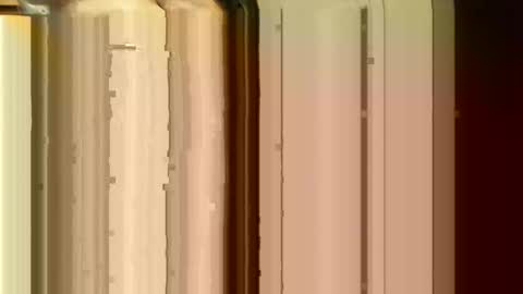 Snapshot of lile_luvit chatting on 02.24.26 Sasquatch online show from 02.24.26