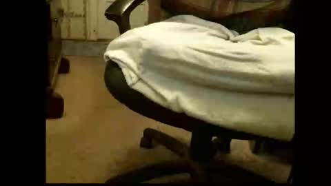 Snapshot of lile_luvit chatting on 03.01.26 Sasquatch online show from 03.01.26