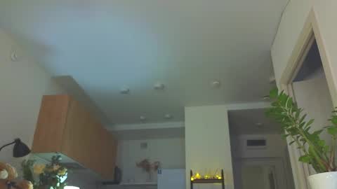 lili__roze_ online show from 04.02.26