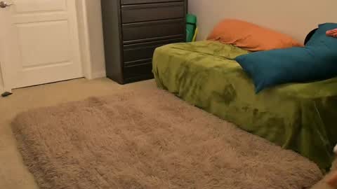 L online show from 02.14.25