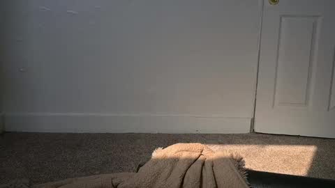 L online show from 03.04.25