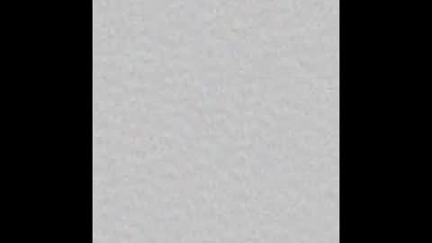 Snapshot of lilitth_isadore chatting on 10.19.25 Lily online show from 10.19.25