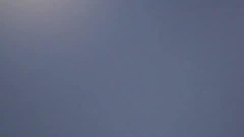 lillie_berry online show from 04.11.26