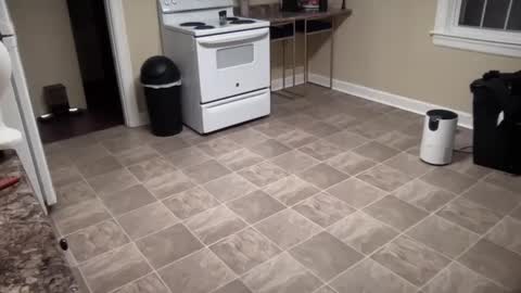 lilly_adams88 online show from 02.21.25