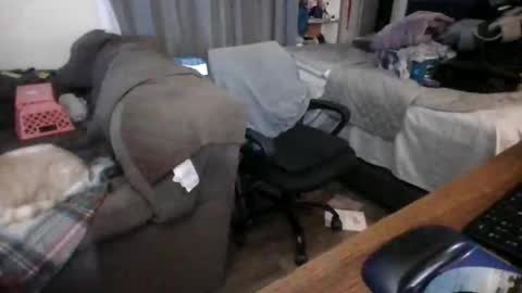 Snapshot of lilpackage69 chatting on 01.29.25 lilpackage69 online show from 01.29.25