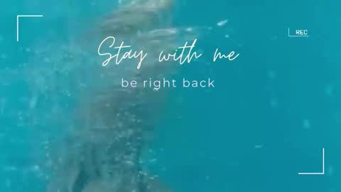 Lily online show from 09.29.25