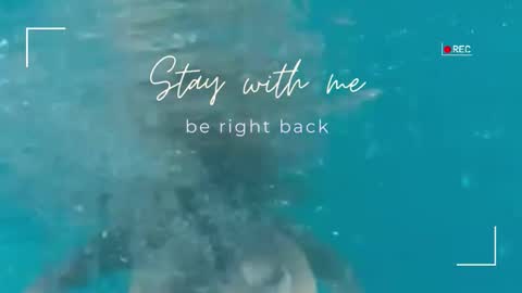 Snapshot of lily_foster_ chatting on 02.04.26 Lily online show from 02.04.26