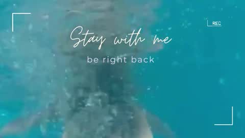 Snapshot of lily_foster_ chatting on 02.18.26 Lily online show from 02.18.26