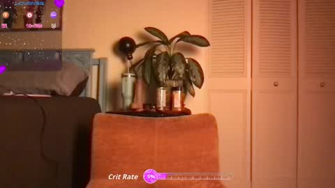 Little Lily online show from 06.02.26