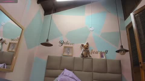 Lily online show from 02.12.25